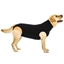 Picture of POST OP DOG SHIRT